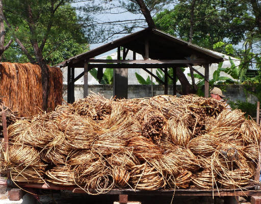 stockage de rotin à petit calibre